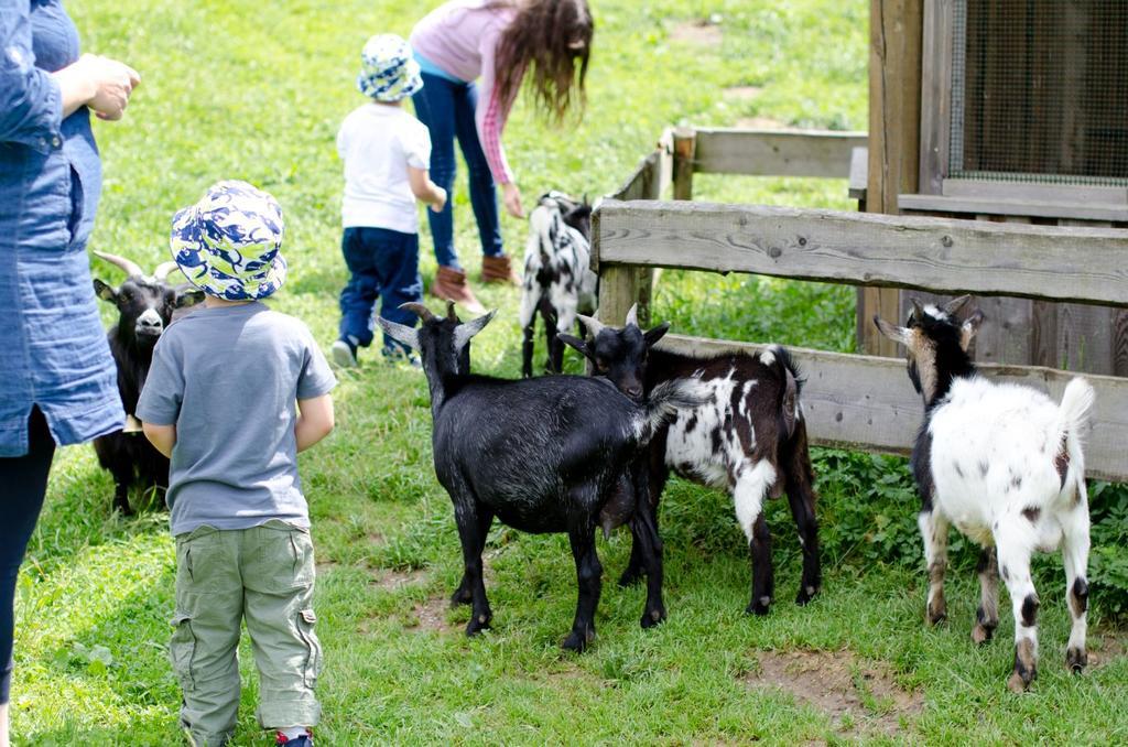Kinderhotel Appelhof Mürzsteg エクステリア 写真