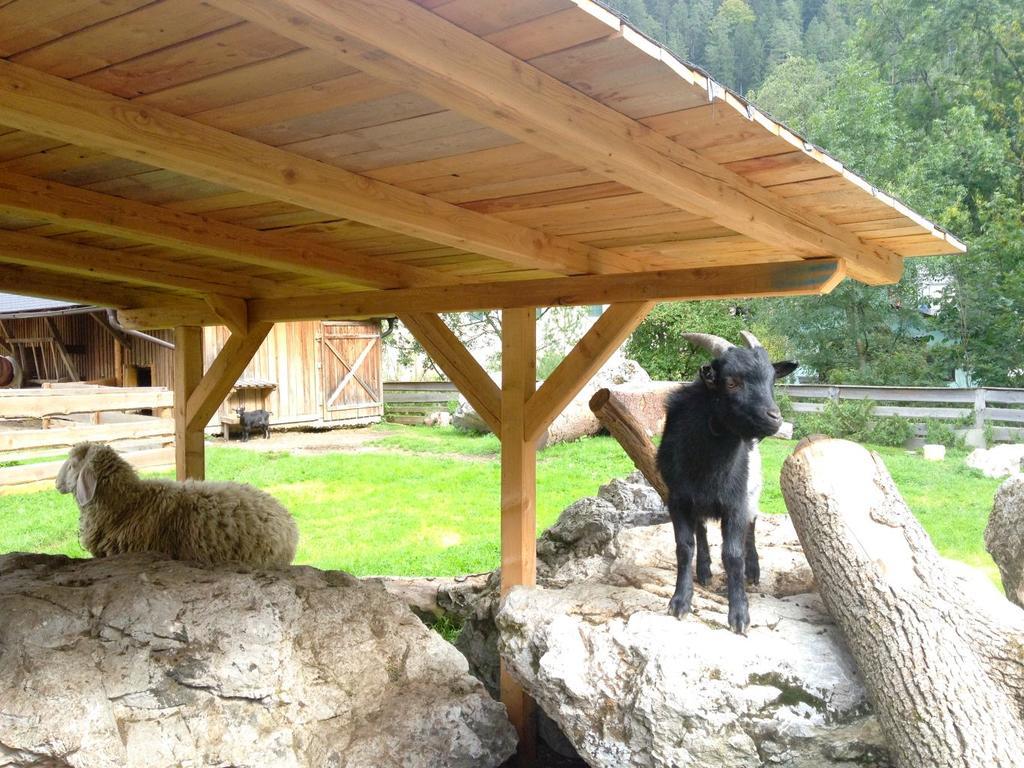 Kinderhotel Appelhof Mürzsteg エクステリア 写真