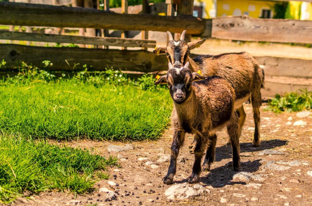 Kinderhotel Appelhof Mürzsteg エクステリア 写真