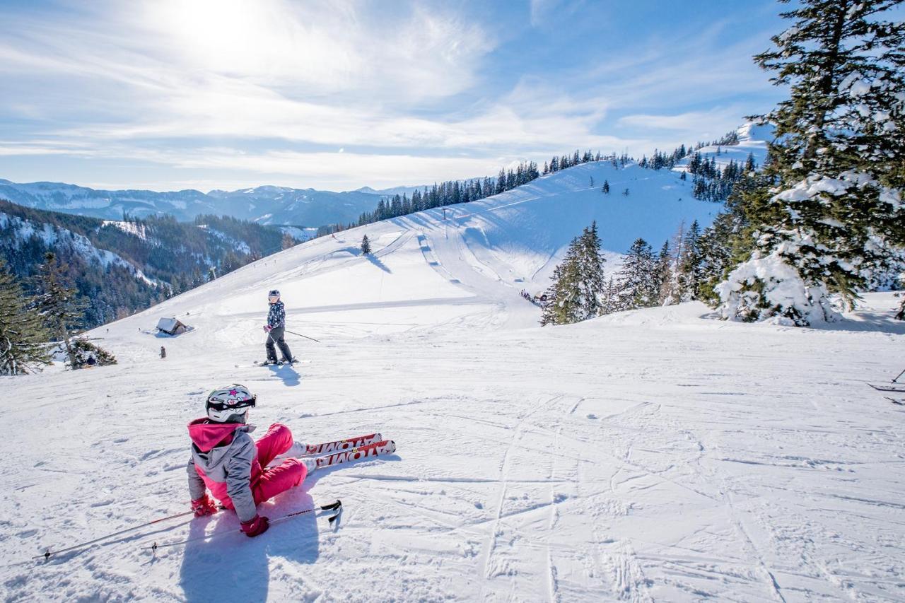 Kinderhotel Appelhof Mürzsteg エクステリア 写真