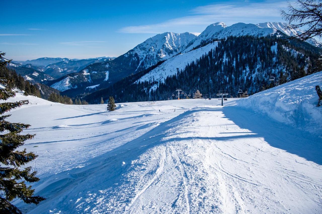 Kinderhotel Appelhof Mürzsteg エクステリア 写真
