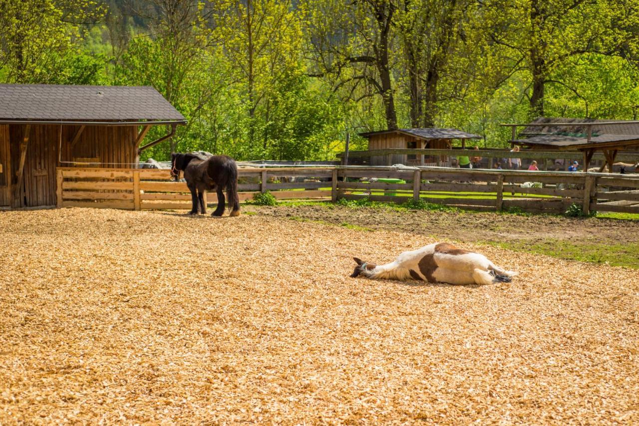 Kinderhotel Appelhof Mürzsteg エクステリア 写真