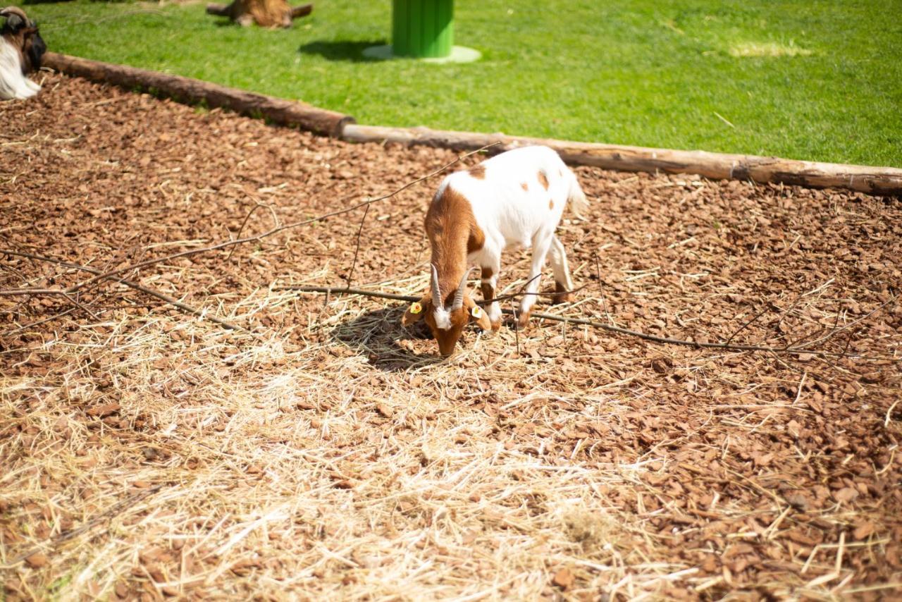 Kinderhotel Appelhof Mürzsteg エクステリア 写真